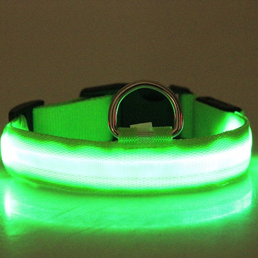 GlowDogGear LED Safety Dog Collar