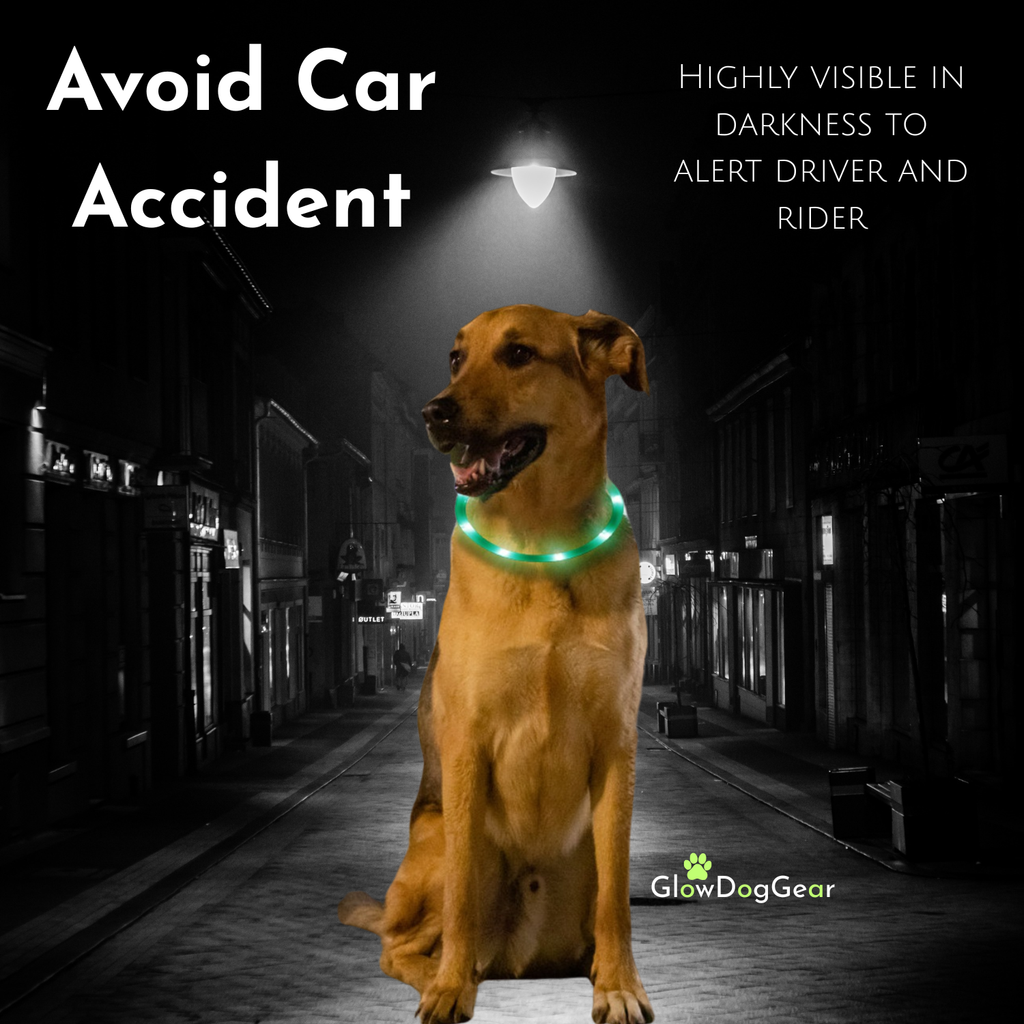 GlowDogGear LED Glow Strip Dog Collar – Cut-to-Fit & USB Rechargeable