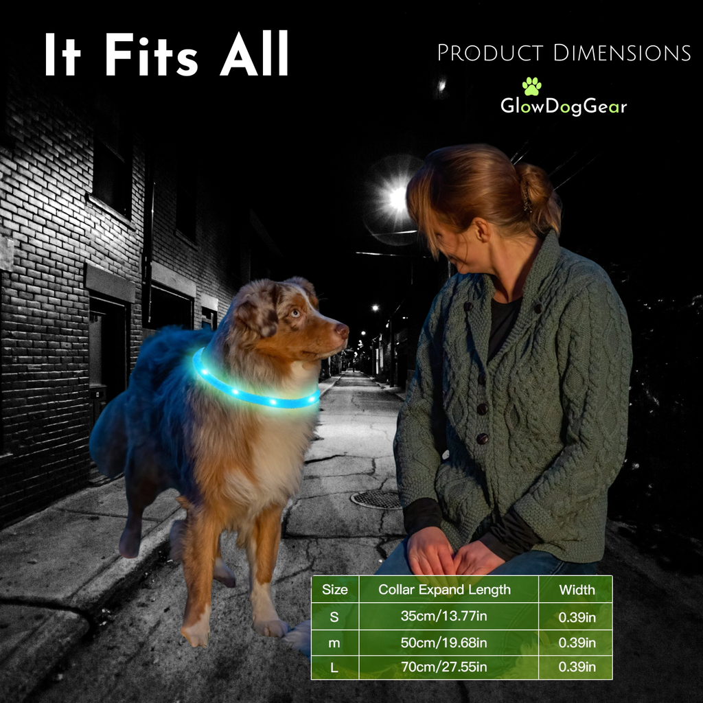 GlowDogGear LED Glow Strip Dog Collar – Cut-to-Fit & USB Rechargeable