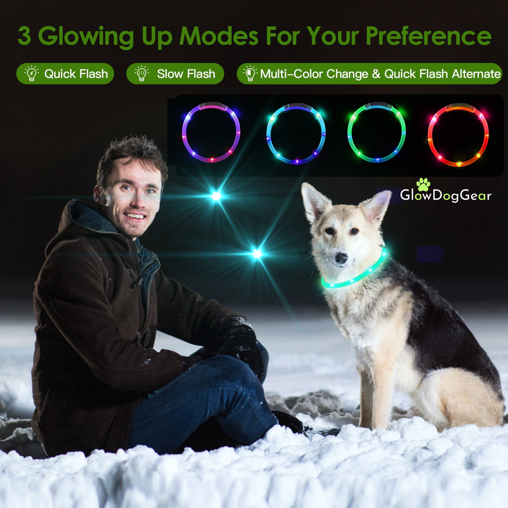 GlowDogGear LED Glow Strip Dog Collar – Cut-to-Fit & USB Rechargeable