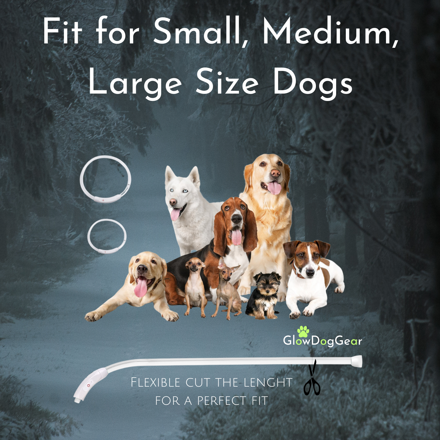 GlowDogGear LED Glow Strip Dog Collar – Cut-to-Fit & USB Rechargeable