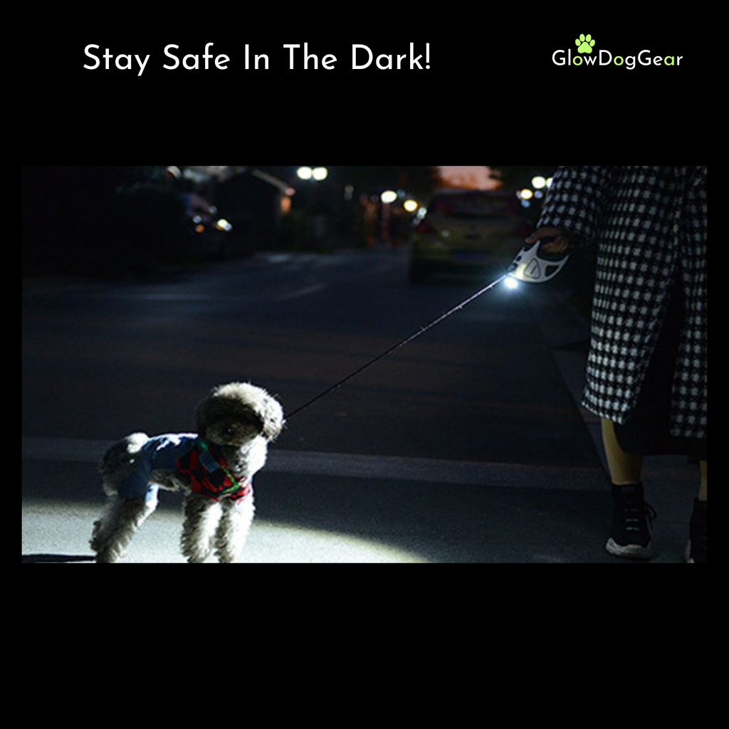 GlowDogGear LED Retractable Dog Leash - Night Safety Glow