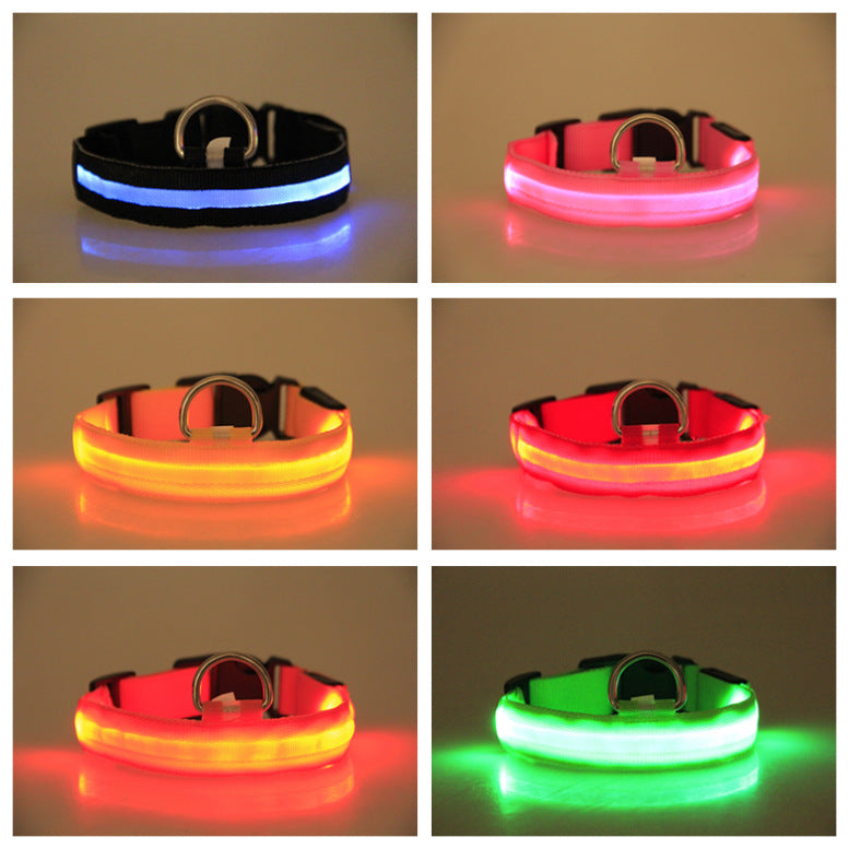 GlowDogGear LED Safety Dog Collar